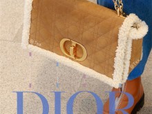 Dior 2020秋冬重磅新成员✨Caro✨泰迪毛绒包