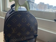 LV backpack mini