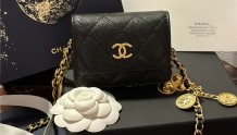 Chanel 金币链条包