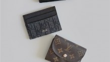 有点小钱的打工人·Loewe Chanel LouisVuitton Dior 4个100分卡包·精简
